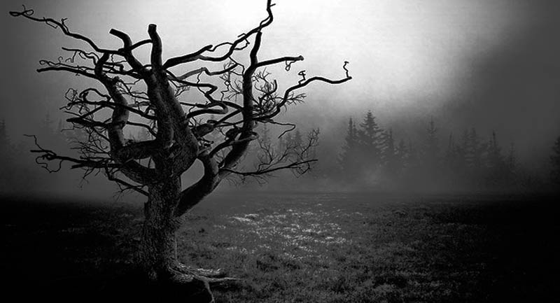 El árbol de muerte