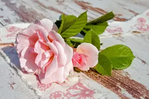 Qué significa Amor platónico