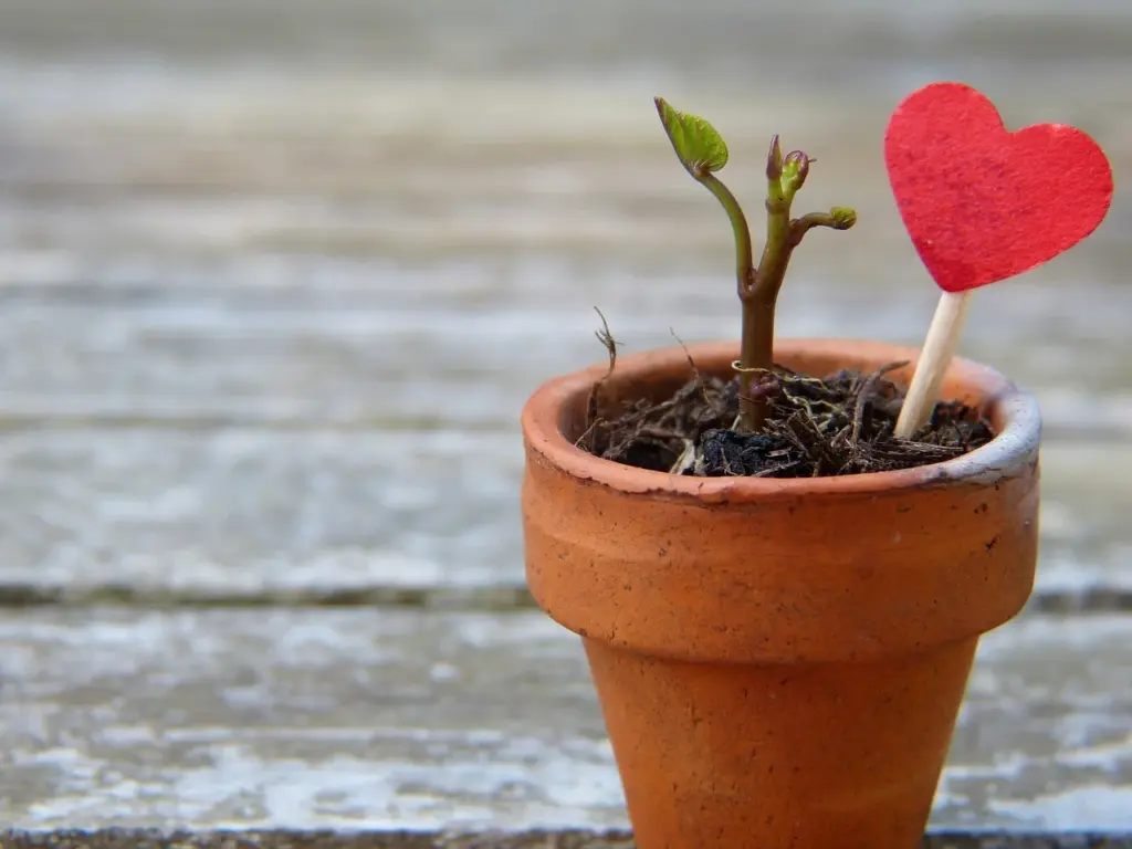 Cómo superar una relación fallida y abrirte al amor