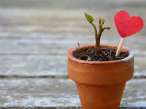 Cómo superar una relación fallida y abrirte al amor