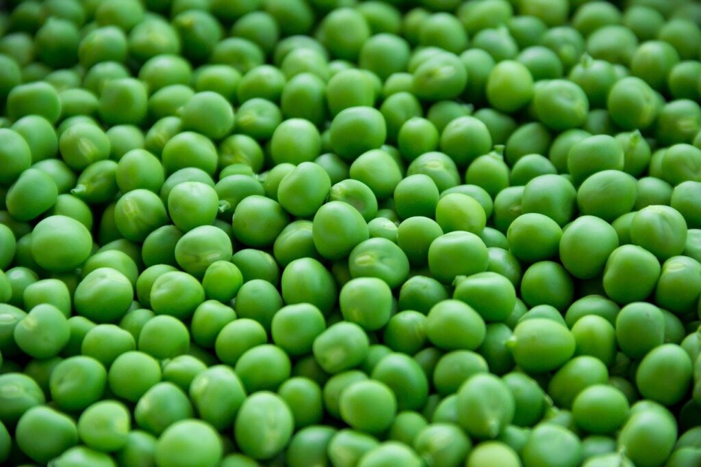 Los mejores alimentos para el cuidado del cabello seco
