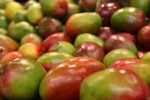 Los mejores alimentos para fortalecer el sistema inmunológico