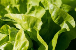 Los mejores alimentos para reducir la ansiedad